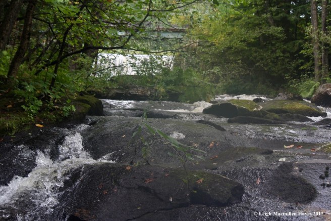 s28-10th site, CMP above