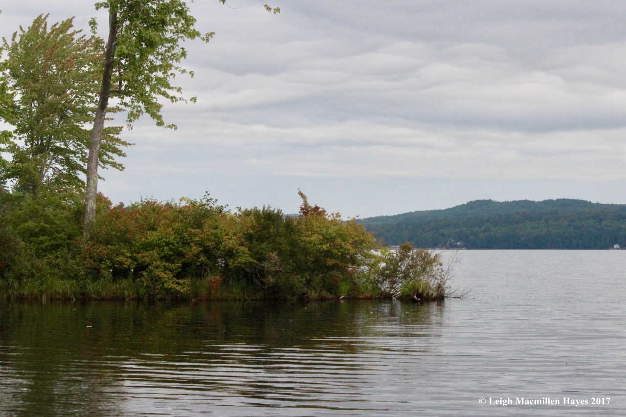 s39-Stevens Brook outlet into Long Lake