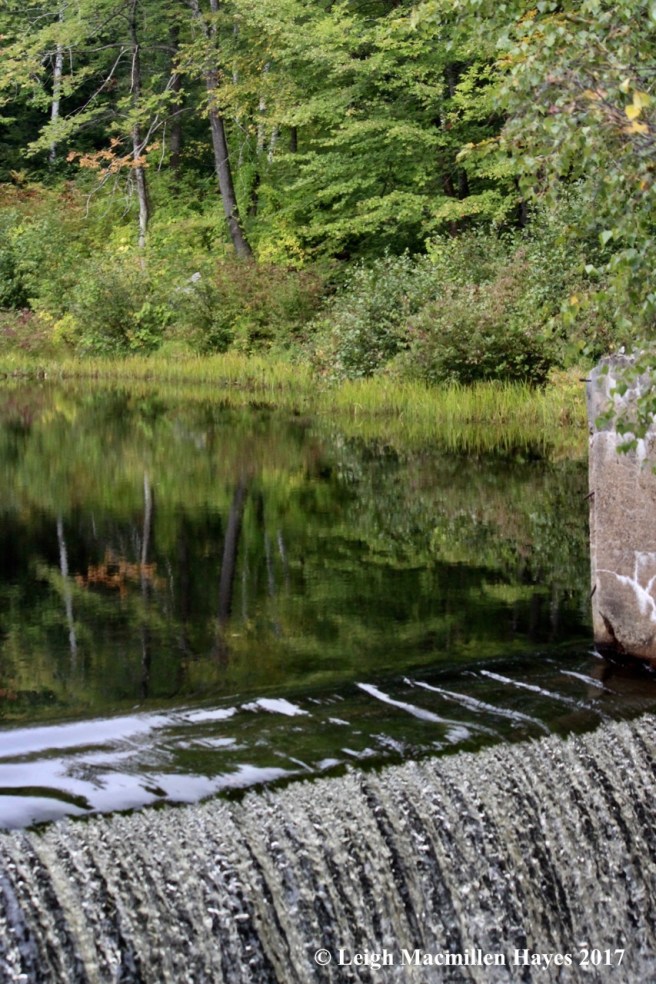 s40-10th site, CMP dam