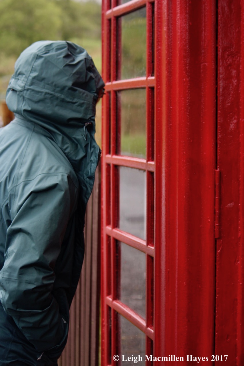 st-telephone library, Liz