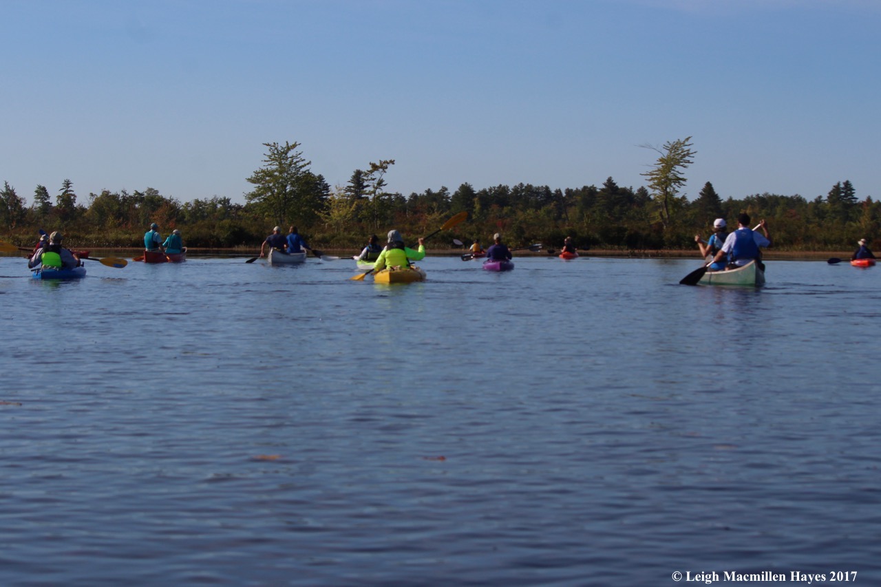 u19-heading toward the fen