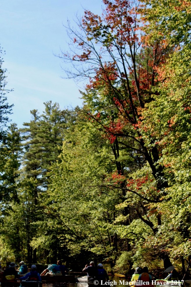 u25-early fall color