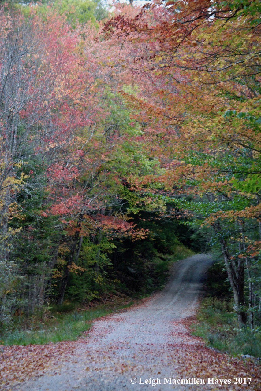 hp17-Grist Mill Road