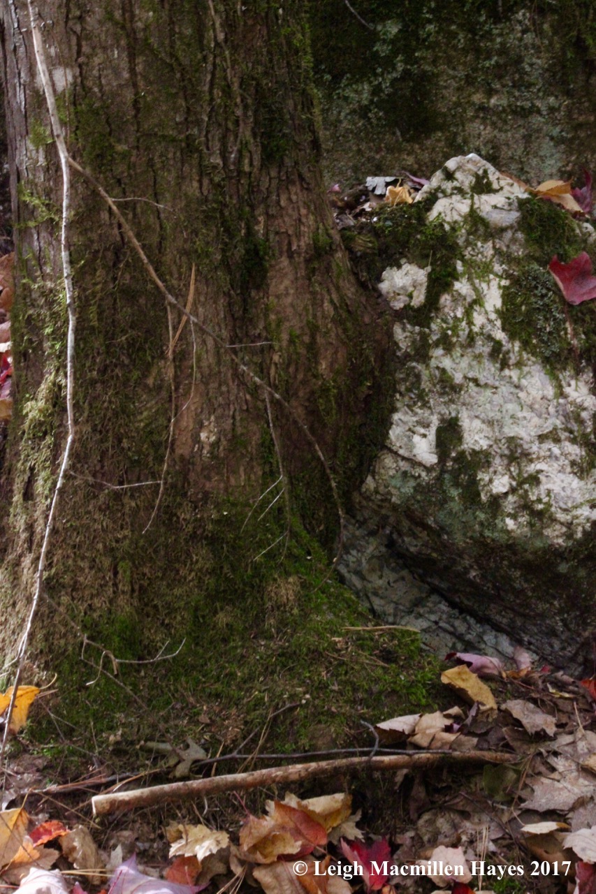 k-hemlock and boulder 2