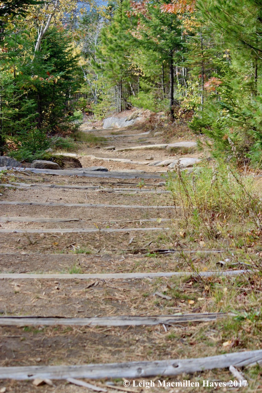 r18-starting down from Black Cap