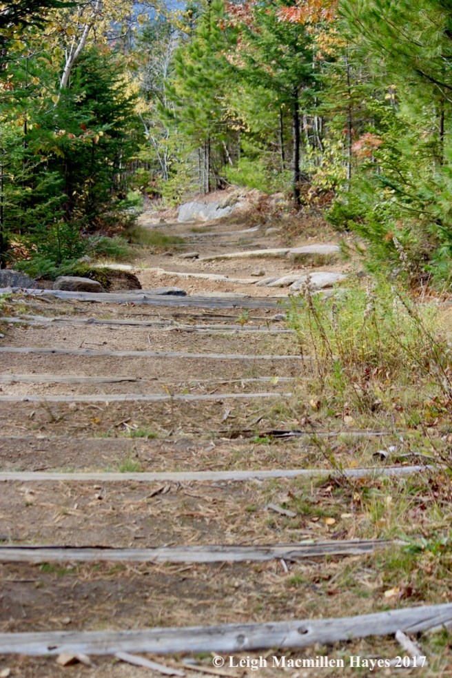 r18-starting down from Black Cap