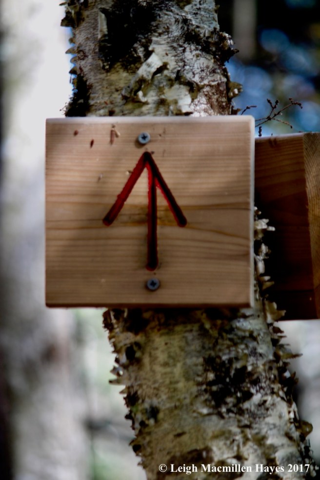 s-Long Mtn trail signs 2