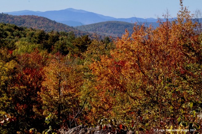 s-Mt Wash from Speck Ponds