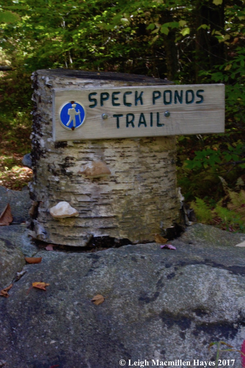 s-Speck Ponds trail sign