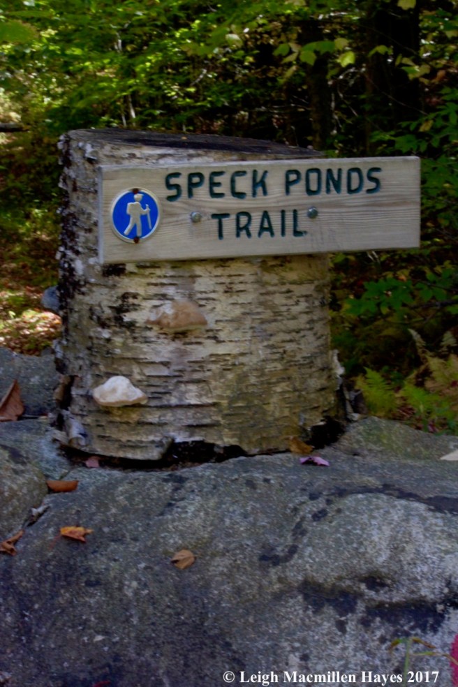 s-Speck Ponds trail sign