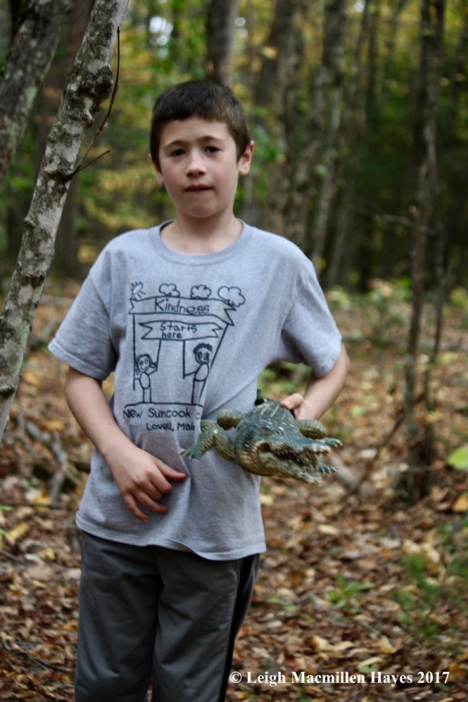 t-alligators in the woods