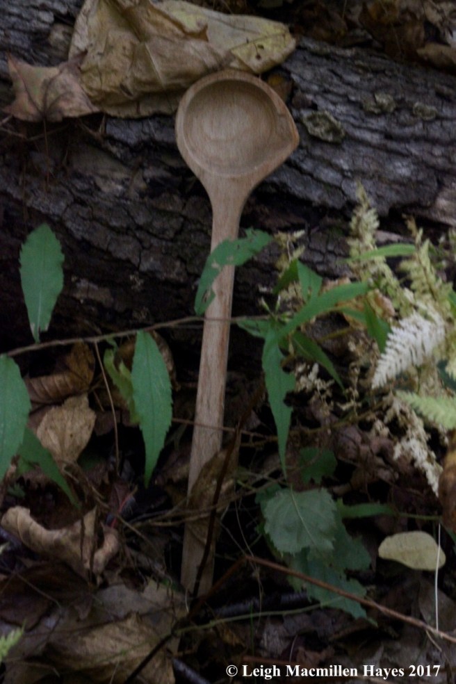 t-wooden spoon
