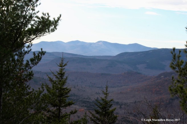 a24--views of balds from other trail