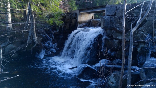 a32-dam at Patte Marsh