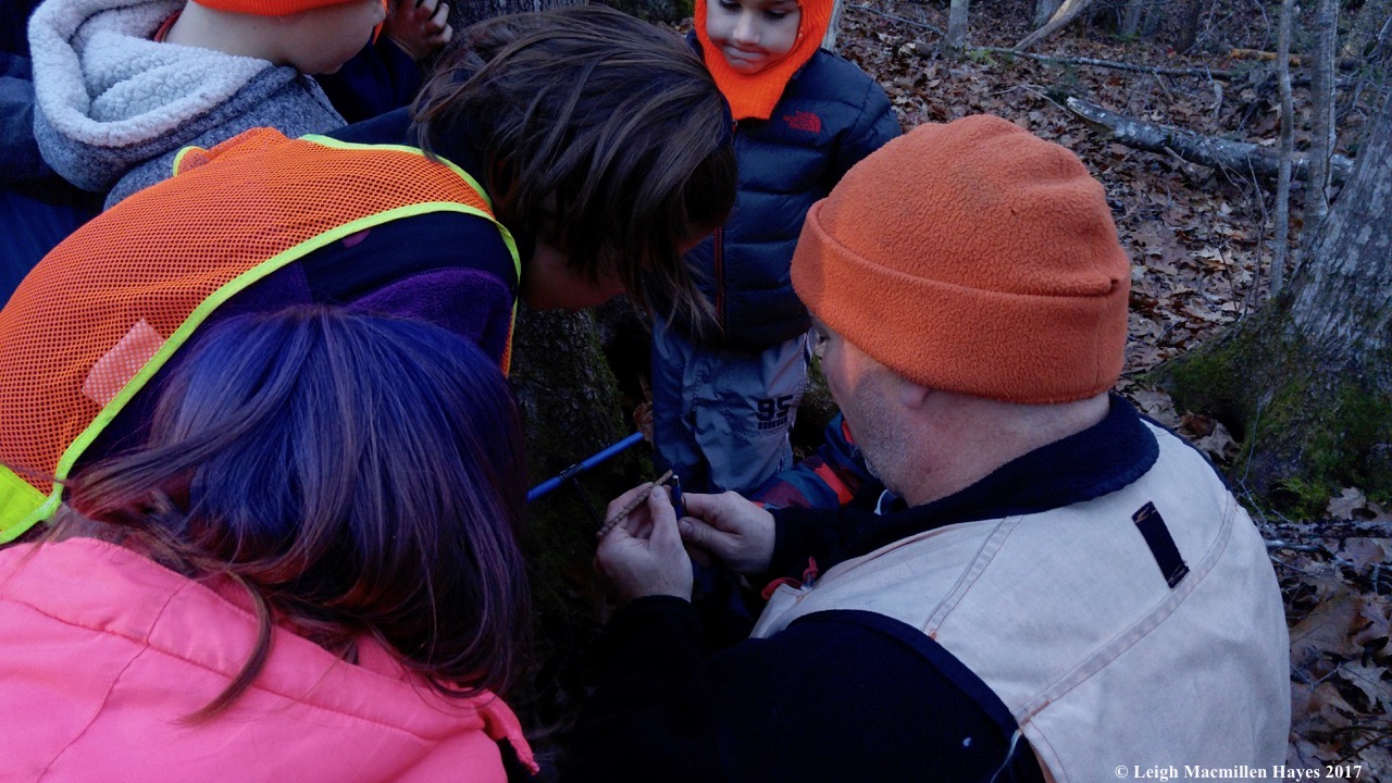 l-counting rings on tree core
