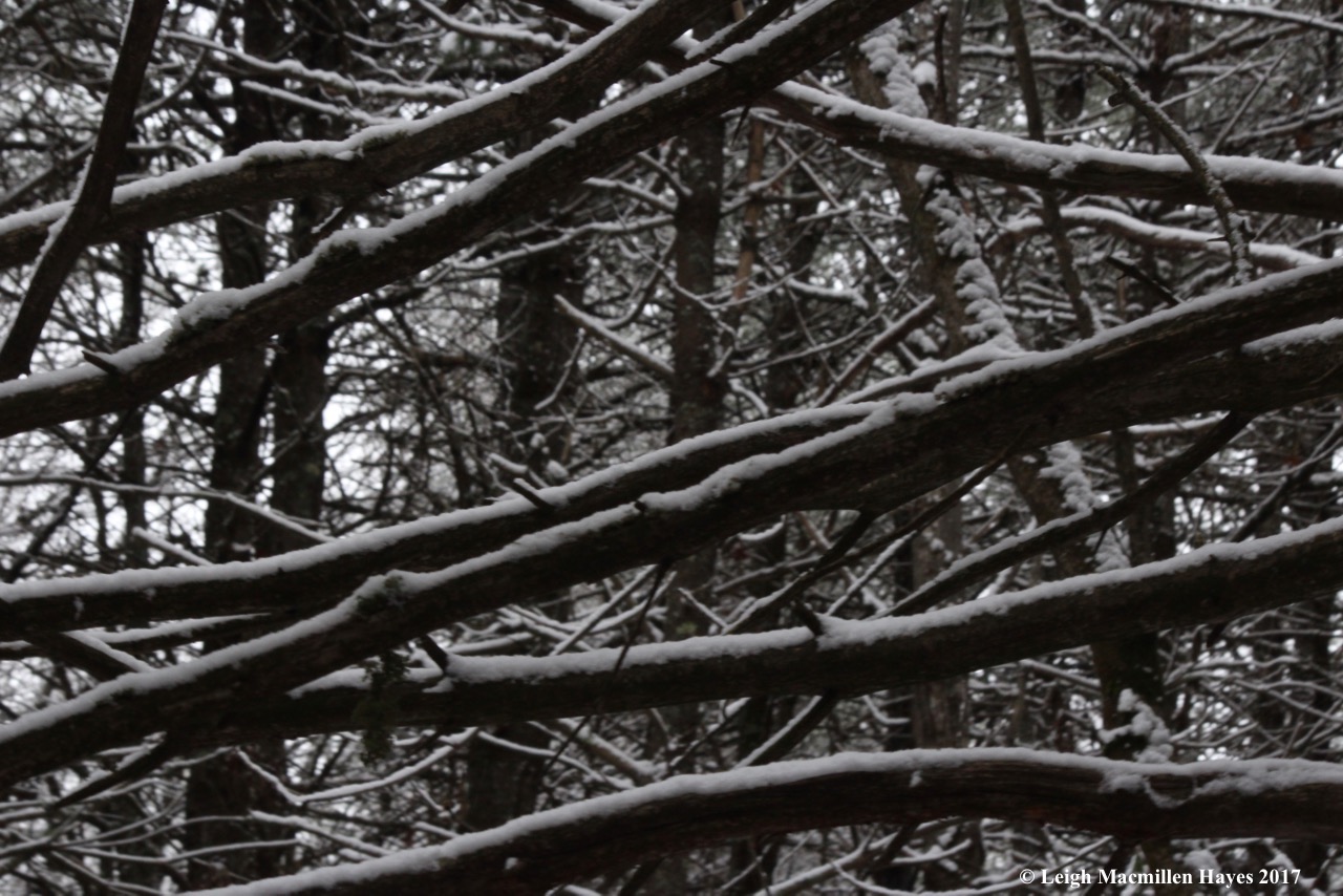 m-snow art intersections