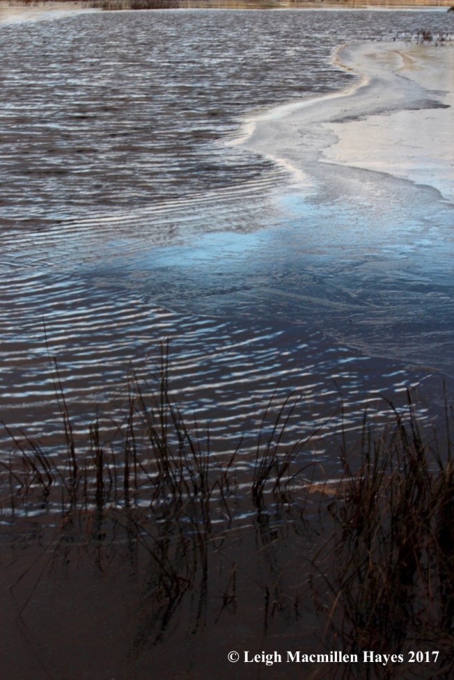 m31-main channel open