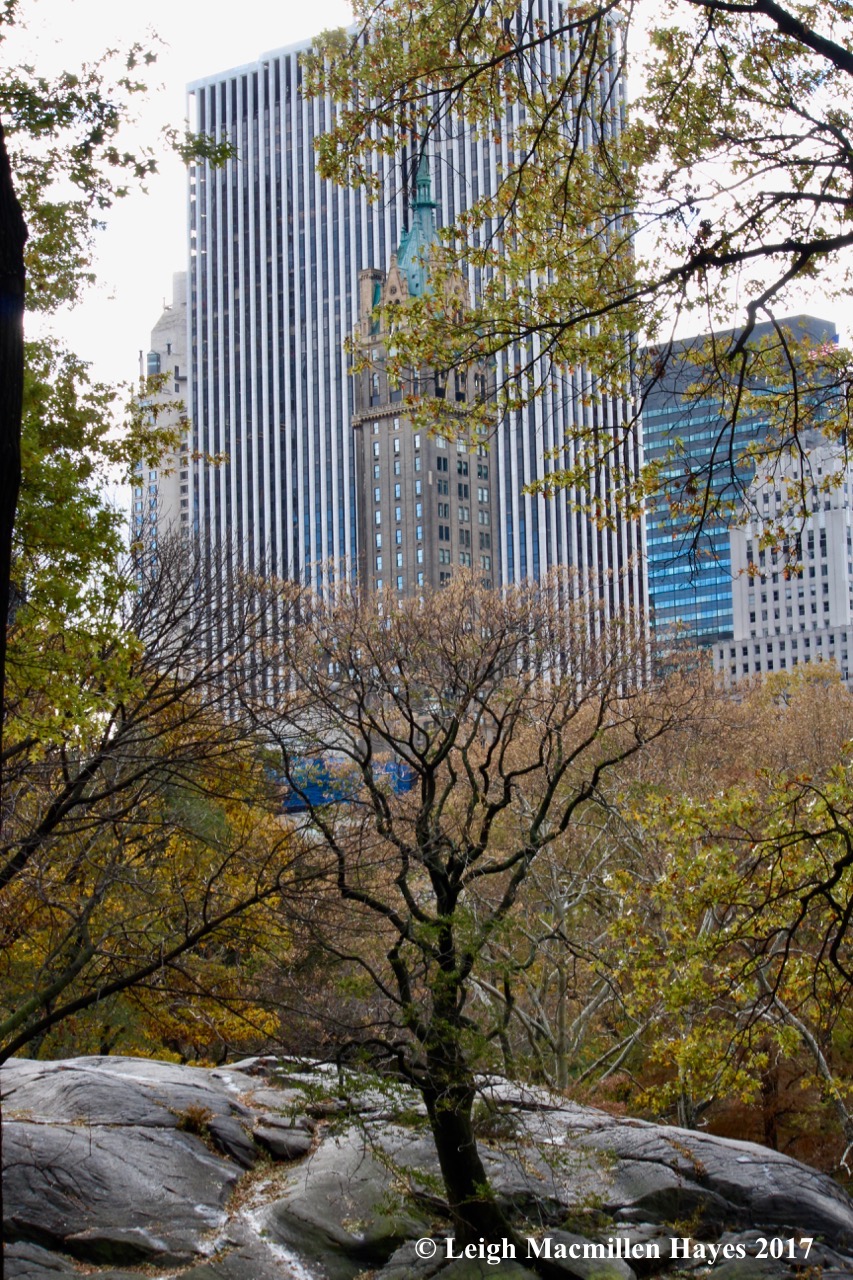 n-Central Park 1