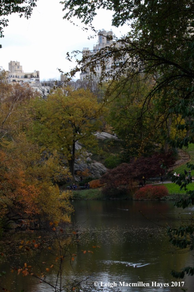 n-Central Park meets autumn