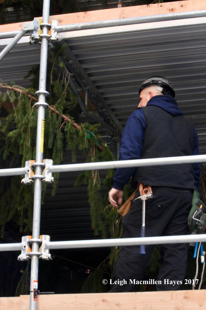 n-Rockefeller tree 1