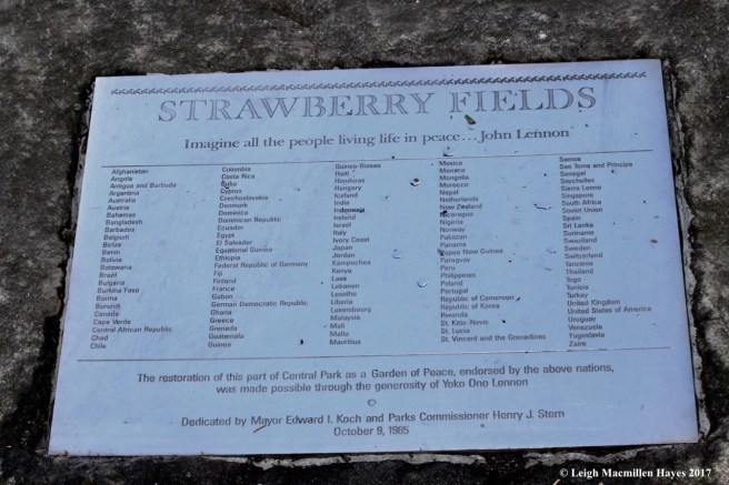 n-strawberry fields forever