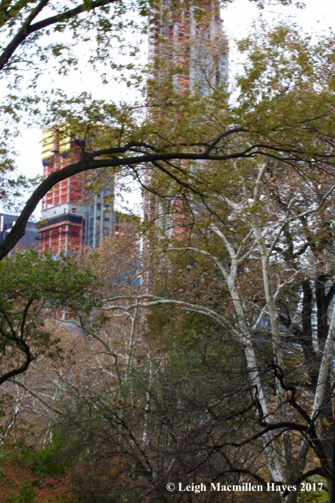 n-trees and buildings