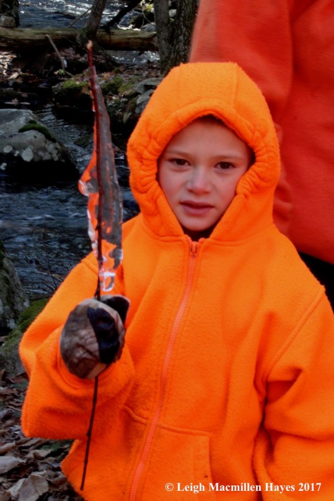 w-carrot-shaped icycle