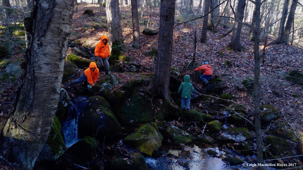 w-exploring the stream