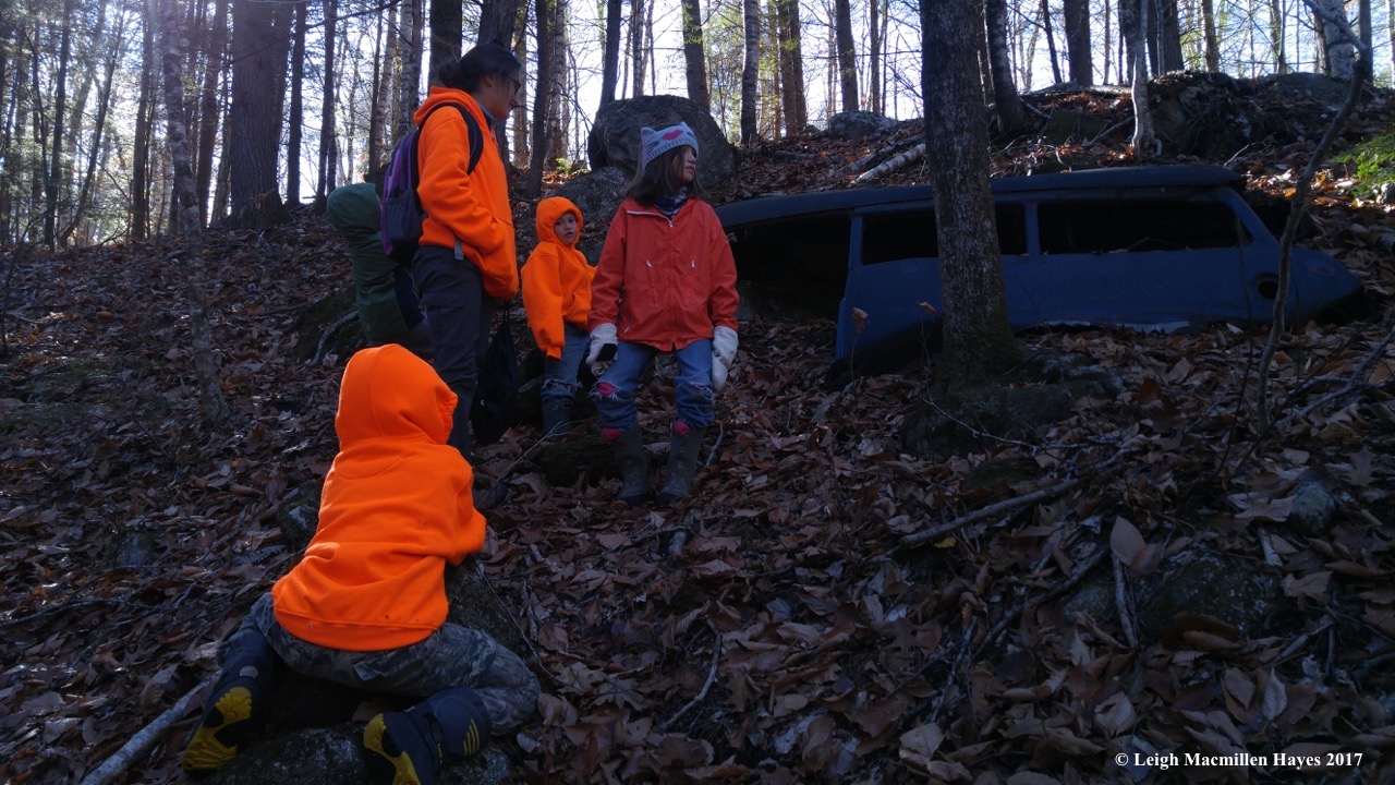 w-wondering about the car