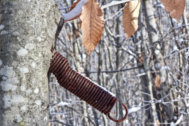 b2-spring is on the way