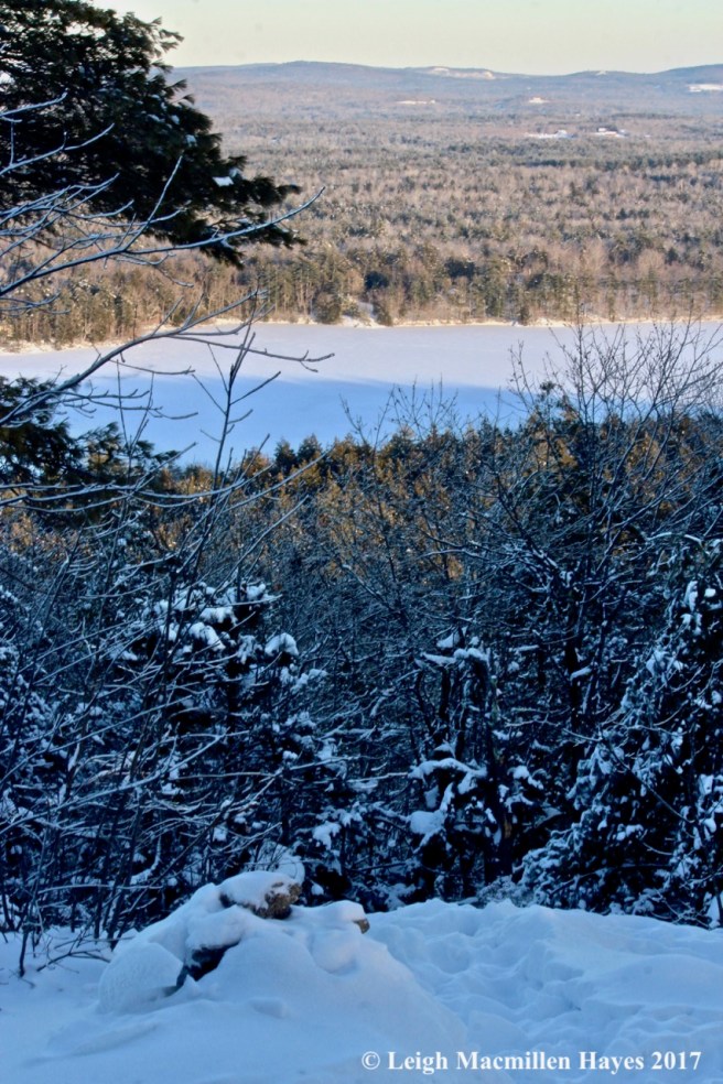 b20-Foster Pond cairn