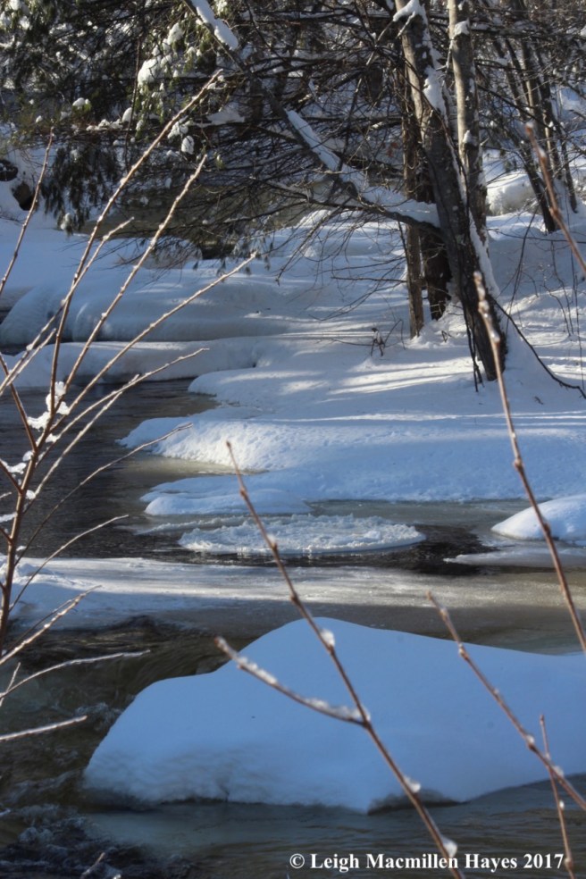 c5b-ice disk in Stevens Brook