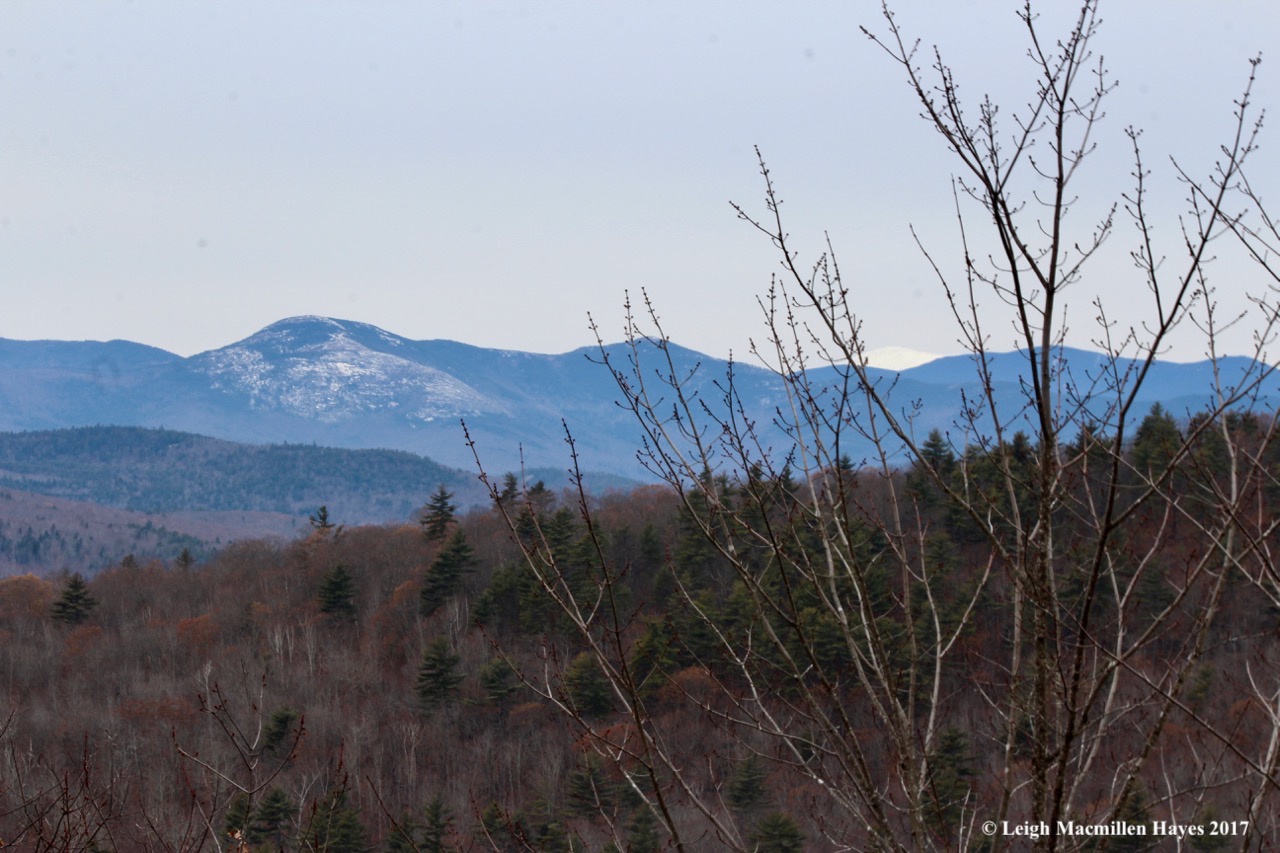 f-baldfaces and Mount Wash