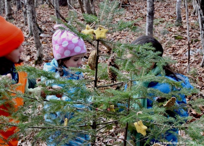 f-finding the right spot