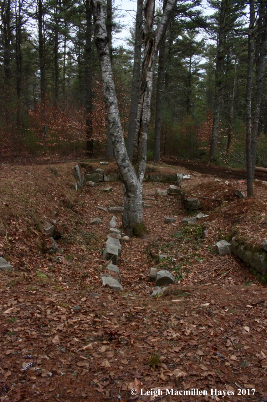 g13-Libby Foundation