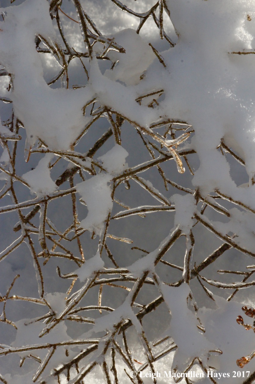 o-ice and snow illuminated by sun