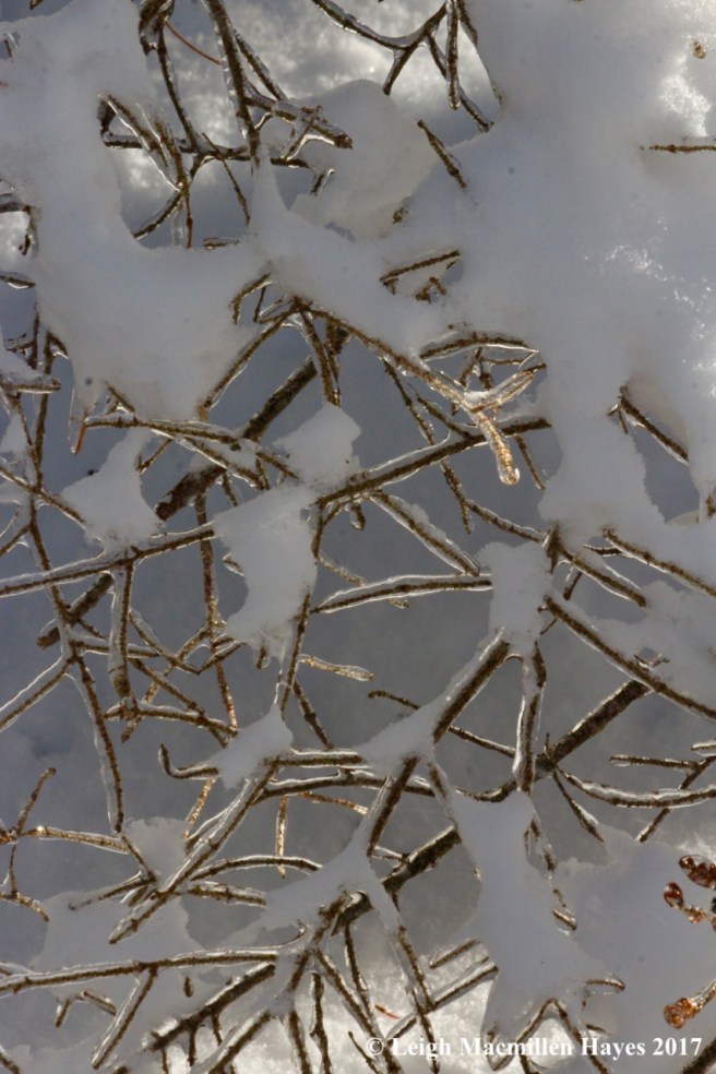 o-ice and snow illuminated by sun
