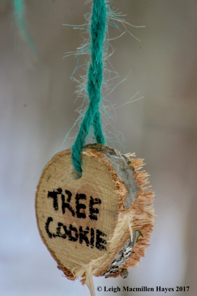p-tree cookie