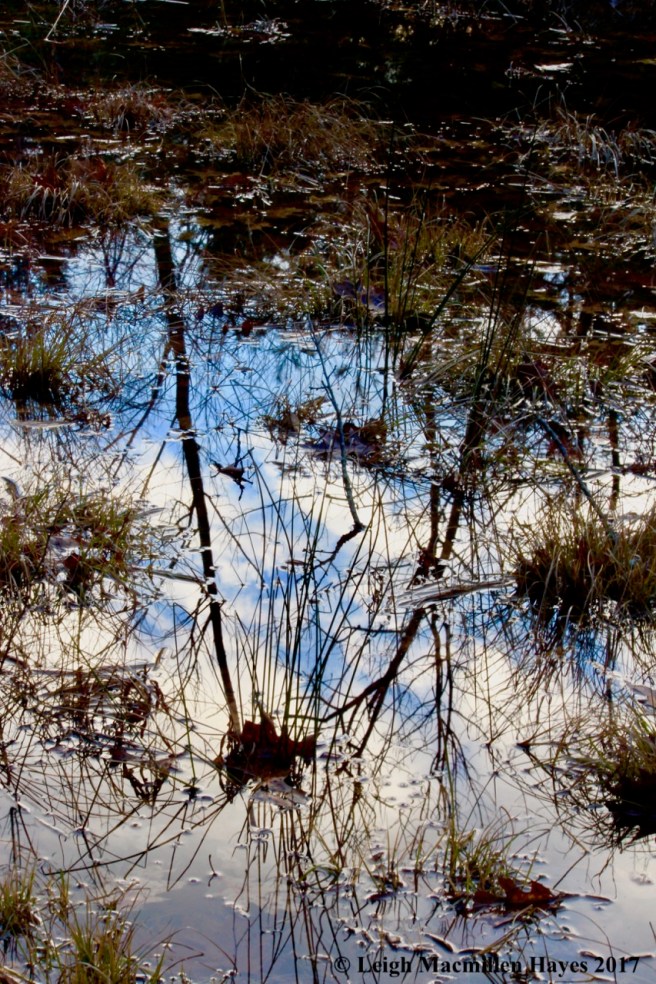 w9-reflections of grace