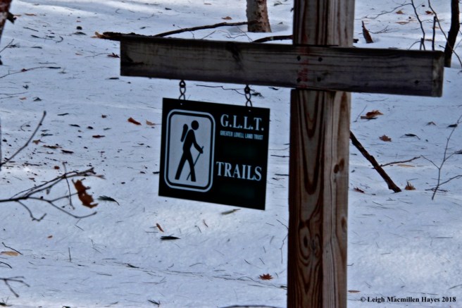 b1-the mountain trailhead