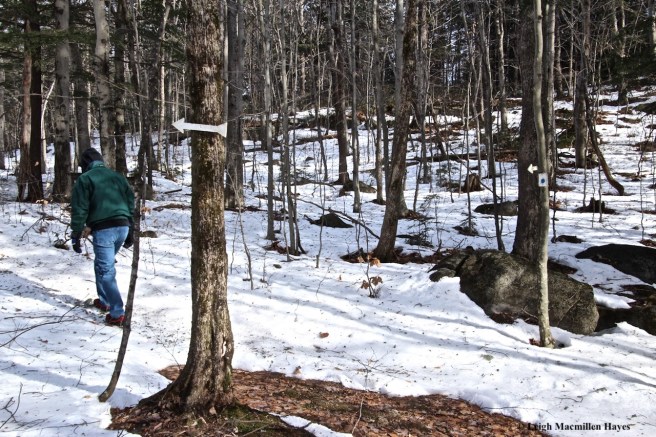 b12-turn onto old jeep road