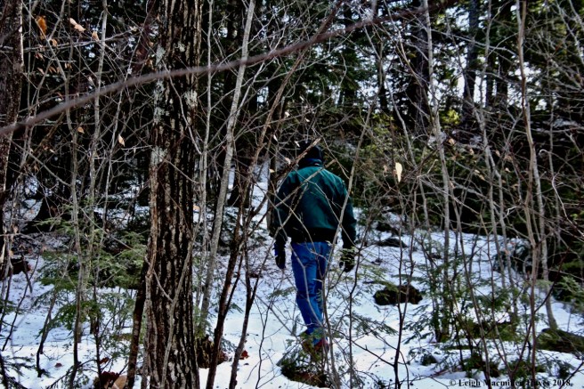 b14-sidetracked to right