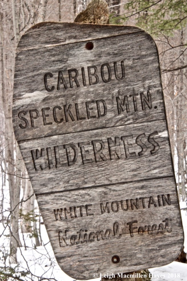 b16-Caribou sign