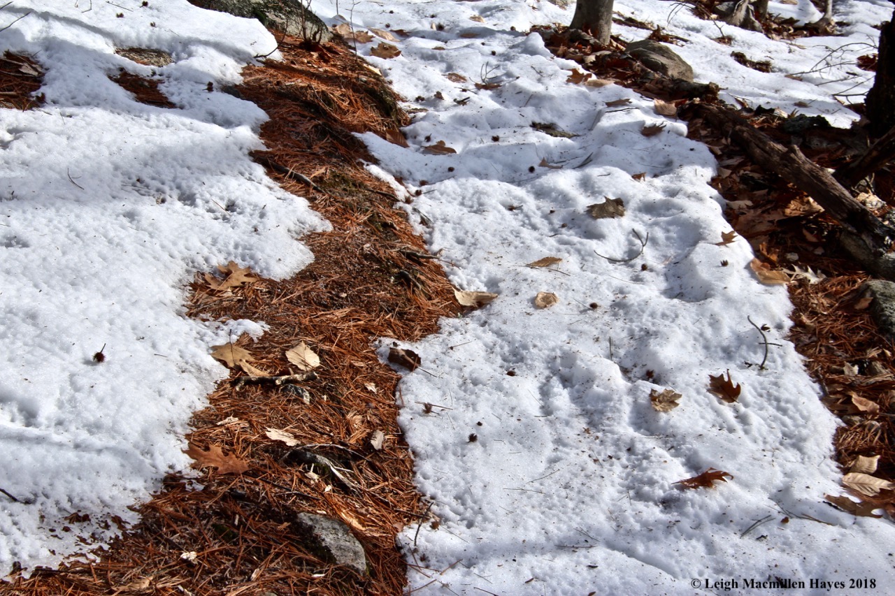 b9-trail conditions varied