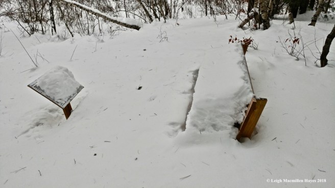 d-beaver lodge bench