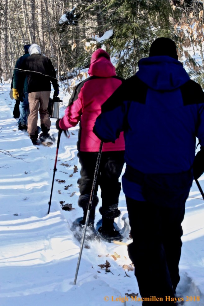 f-snowshoe journey up Whiting Hill Trail
