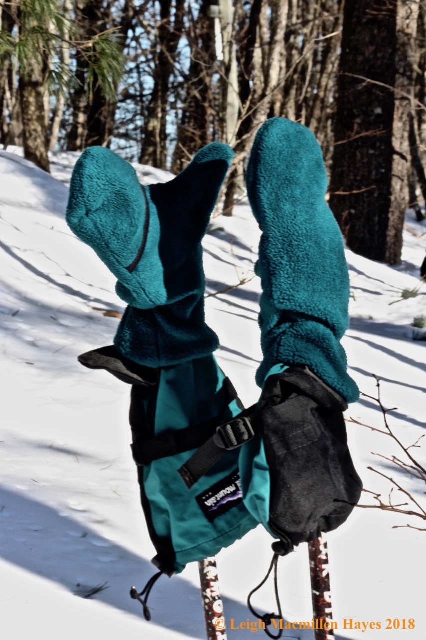 f-who said it was cold?