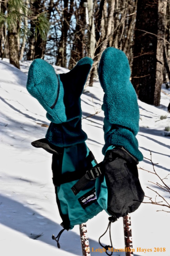 f-who said it was cold?