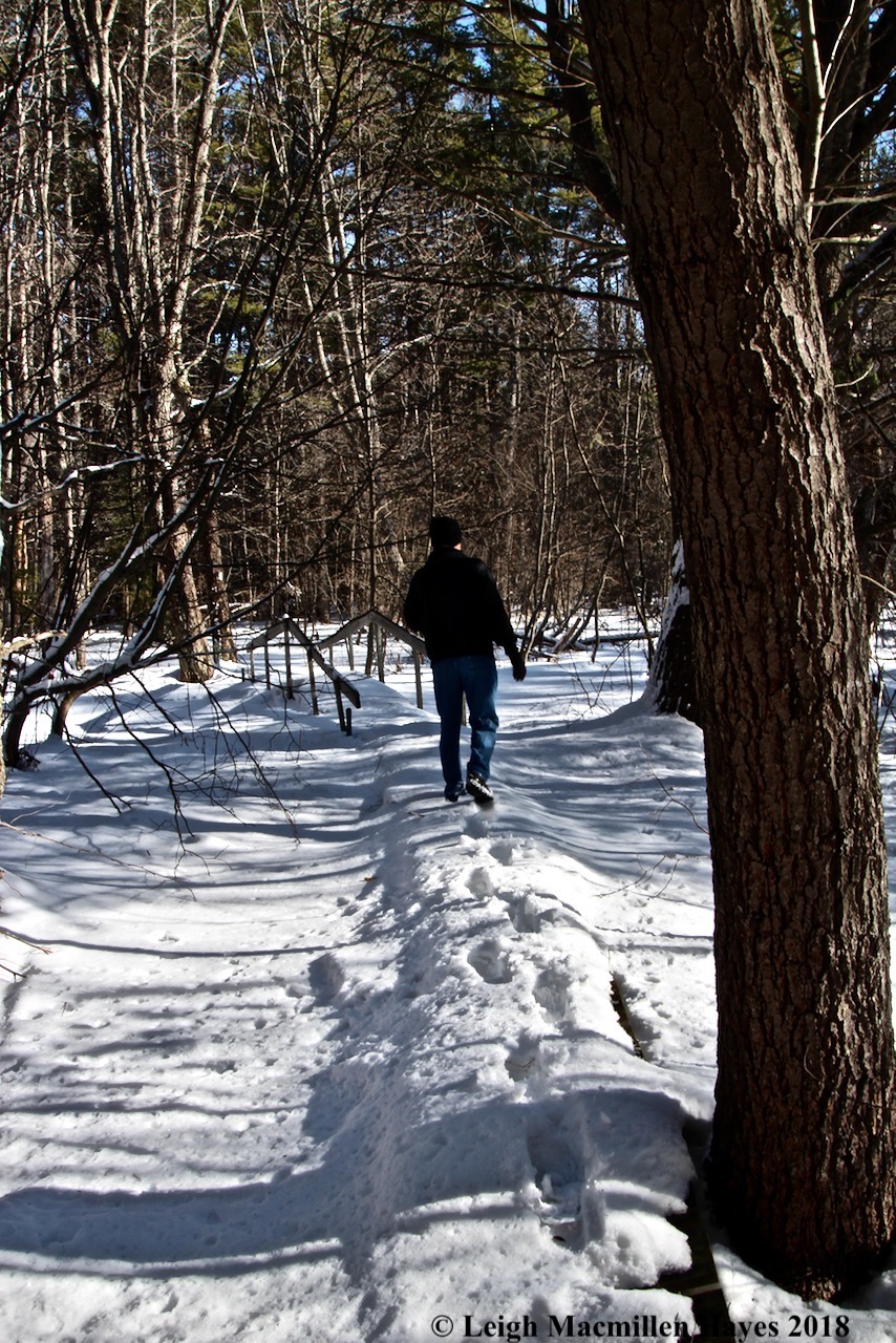 h1-Following the boardwalk