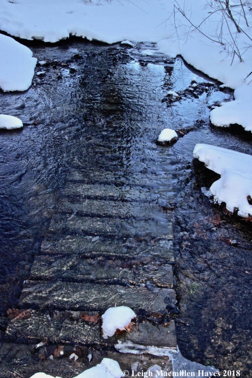 h25-water over boardwalk